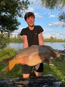 Mirror Carp