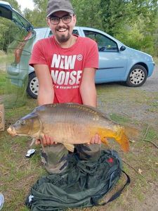 Mirror Carp