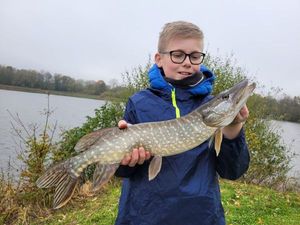 Northern Pike