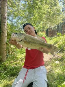 Smallmouth Bass