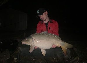 Mirror Carp