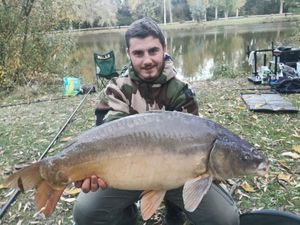 Mirror Carp