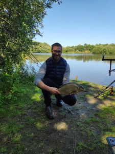 Common Bream