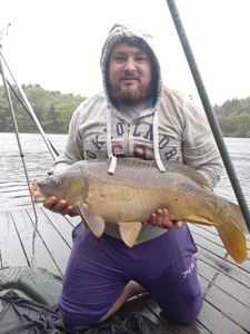 Mirror Carp