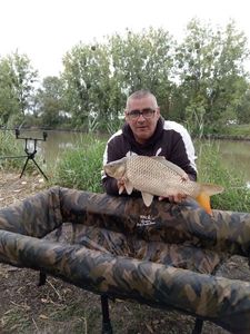 Common Carp