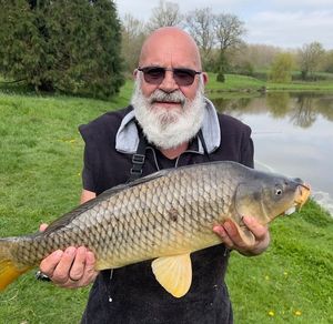Common Carp
