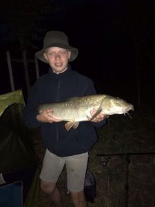 Barbel
