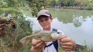 Smallmouth Bass