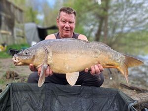 Mirror Carp