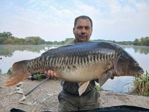 Leather Carp