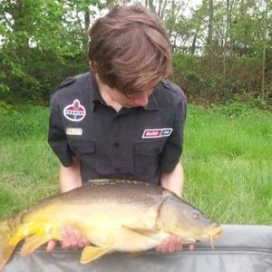 Mirror Carp