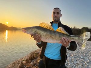 Zander