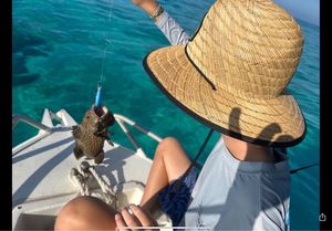Orange Spotted Grouper