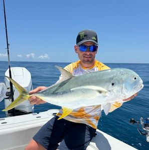 Crevalle Jack