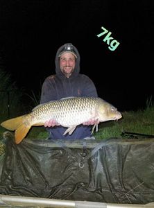 Common Carp