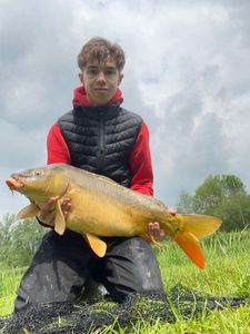 Mirror Carp
