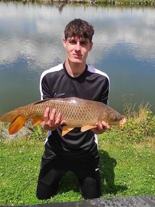 Common Carp