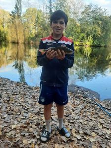 European Perch