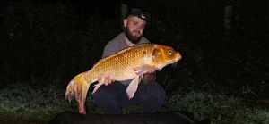 Koï Fish