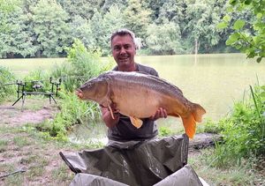 Mirror Carp