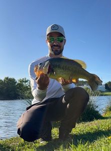 Largemouth Bass