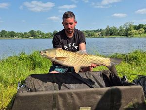 Grass Carp