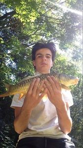 Mirror Carp