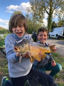Mirror Carp