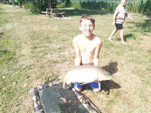 Leather Carp