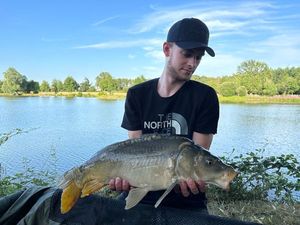 Mirror Carp