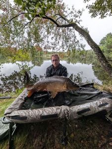 Mirror Carp