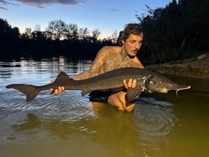 Sturgeon
