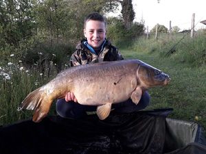 Mirror Carp