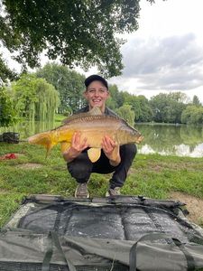 Mirror Carp