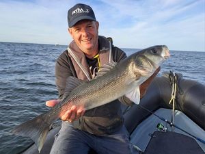 European Bass (Seabass)