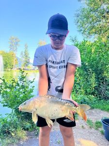 Mirror Carp
