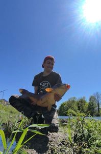 Mirror Carp