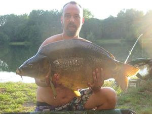Mirror Carp
