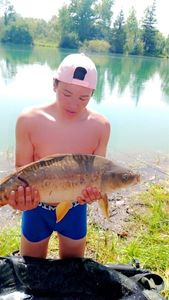 Mirror Carp