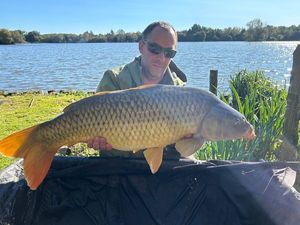 Common Carp
