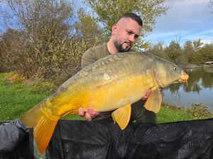 Mirror Carp