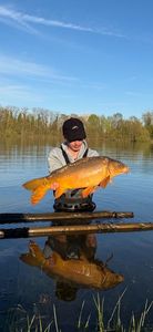Leather Carp