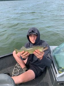 Walleye