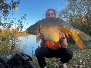 Mirror Carp
