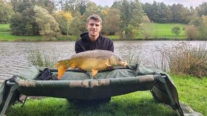 Mirror Carp