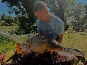 Common Carp
