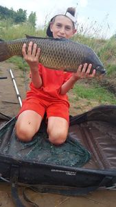 Common Carp