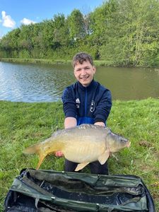 Mirror Carp