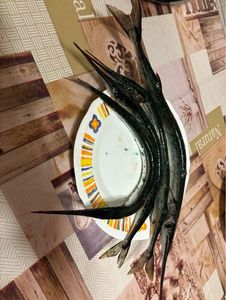 Garfish