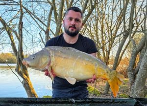 Mirror Carp